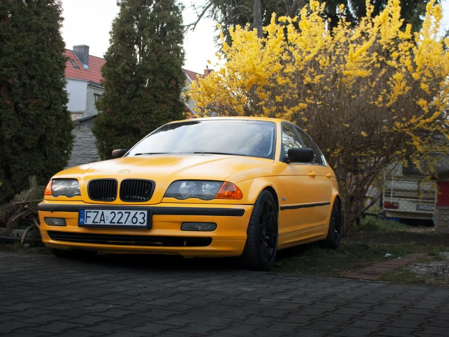 BMW E46 1999
