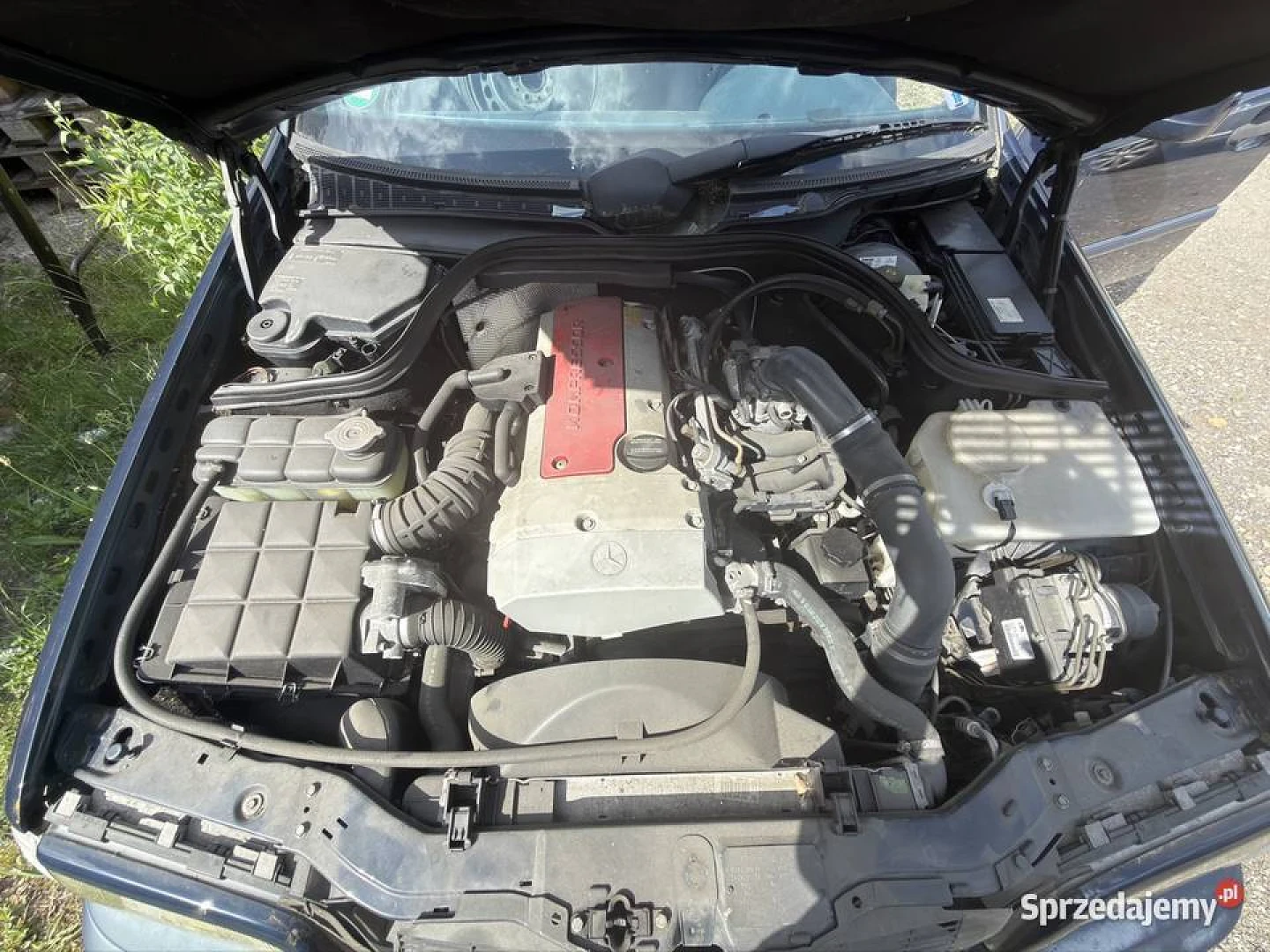 Mercedes-Benz W202 C-Class 1997